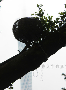 优势供应仿真树藤鸟巢灯罩亮化