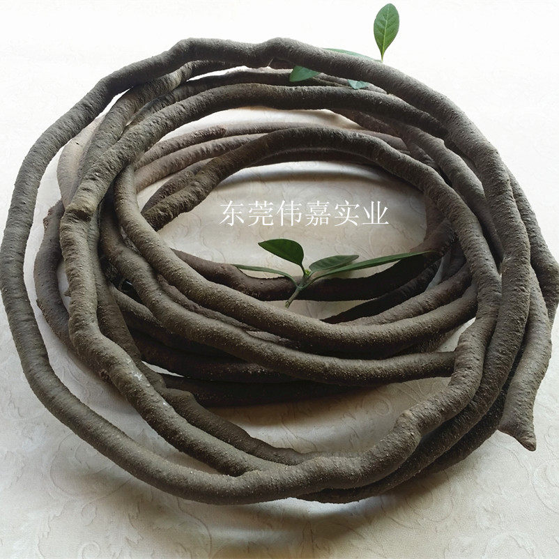 阻燃PVC仿真树藤雨林缸假山园林造景垂吊顶造景装饰环保防虫树藤,家居饰品,仿真花/假花,淘宝优惠券,粉丝福利购,淘宝优惠卷