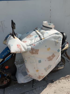 电动车挡风被加大宽侧翼厚冬季亲子绒护肩背双面防水膜雨男女电瓶