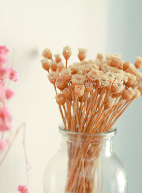 天然干花填充桌面装饰品快乐花瓶家居干花包粉色黄色雏菊套装客厅