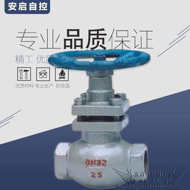 U11SM-16高温蒸汽导热油不锈钢丝