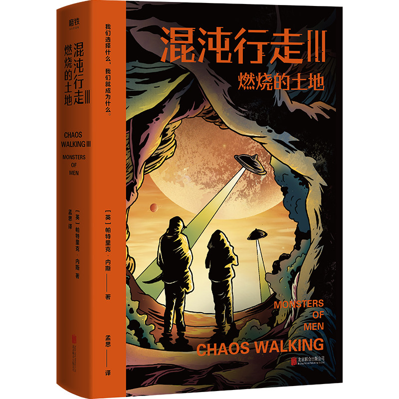 年度选书文学 书籍