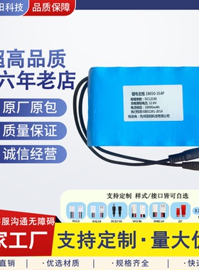 马蜂服电池12.6V电池户外移动电源锂电池 电子琴KB290 280 291