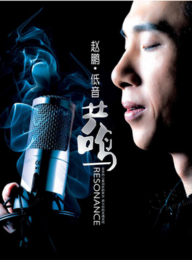 官方正版 赵鹏专辑 低音共鸣 DSD音乐专辑 HI-FI发烧碟 CD唱片