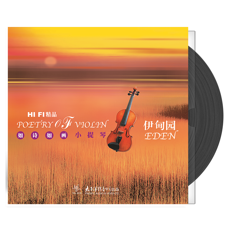 青年小提琴演奏家陈蓉晖小姐 太平洋