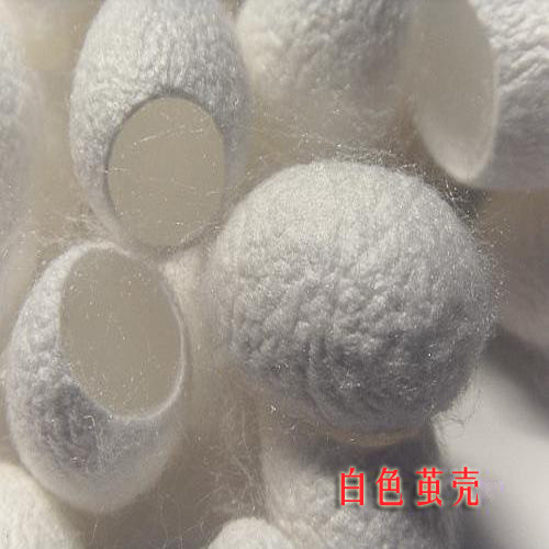 开口蚕茧壳手工美容化妆工具天然蚕丝球洗脸洁面嫩滑美工入药泡茶 - 封面