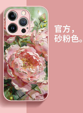 苹果17Promax手机壳新款iphone16