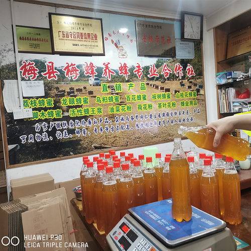蜜蜂口粮天然喂蜂蜜养蜂蜜饲料