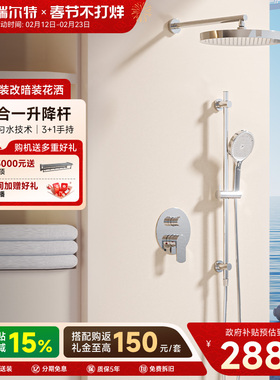 瑞尔特暗装花洒套装预埋嵌入墙式隐藏家用大顶喷淋浴器T3224-C