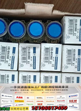 蓝色按钮XB2-BW3665,共20pcs,议价