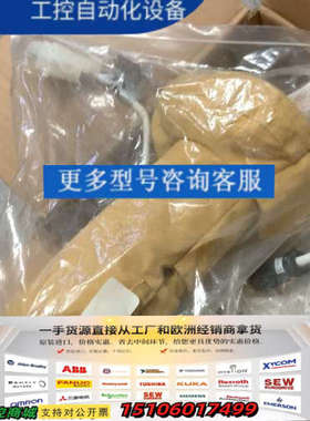 mks美国 99V0278 160926-001 99V02议价