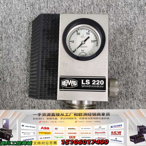 LEHMAN & MICHELS LEMAG LS220 压议价