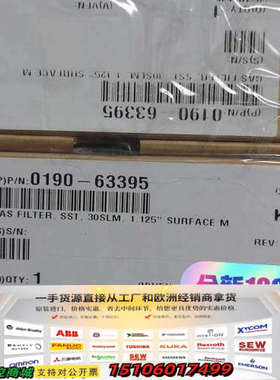 0190-63395，GAS FILTER，SST，30SL议价