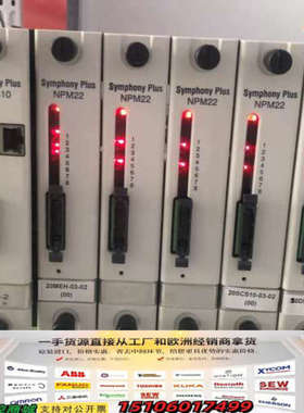 ABB 贝利。SPNPM22。NPM22 ABB 贝利。议价