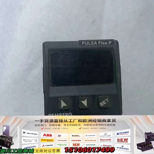 REM Berg PULSA Flex-P，型号1300.2议价