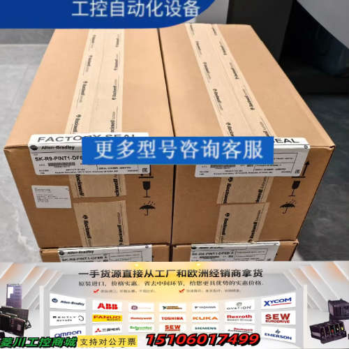 SK-R9-PINT1-DF6B议价