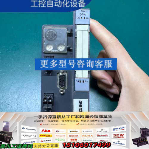 TURCK图尔克BL20-GW-DPV1模块6827234议价