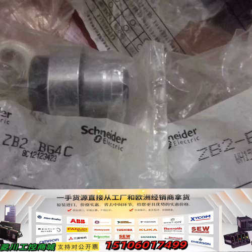Schneider正品按钮ZB2-BC2C ZB2-BG议价