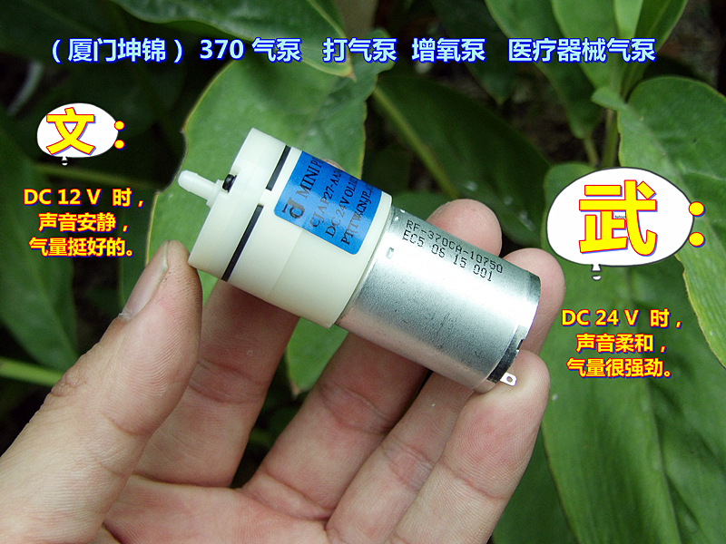 ΢ÐÍÖ±Á÷Æø±Ã 370Æø±Ã ´òÆø±Ã ÔöÑõ±Ã ¸ßÆ·ÖÊ Æø±Ã£¨DC12V-24V£©