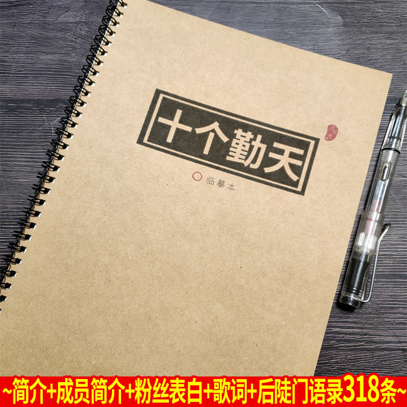 十个勤天种地吧少年周边歌词后陡门语录小清新钢笔女生鲸落体字帖-封面