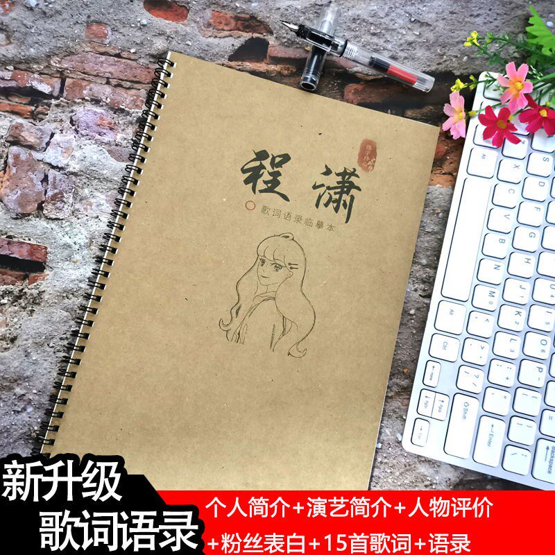 程潇同款楷书钢笔描红字帖