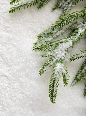 诺琪圣诞白色雪粉人造雪花圣诞场景装饰雪花片干雪粉仿真雪飘雪