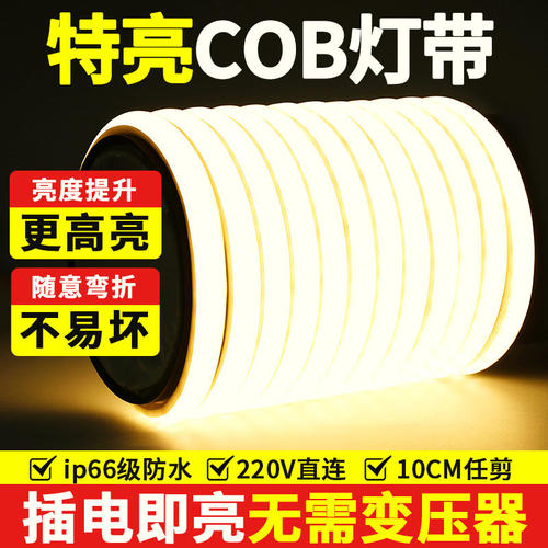 爱德朗cob超亮户外亮化灯带