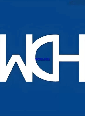 全新原装 CH224Q DFN-10-EP(2x2) 快充协议芯片现货 WCH