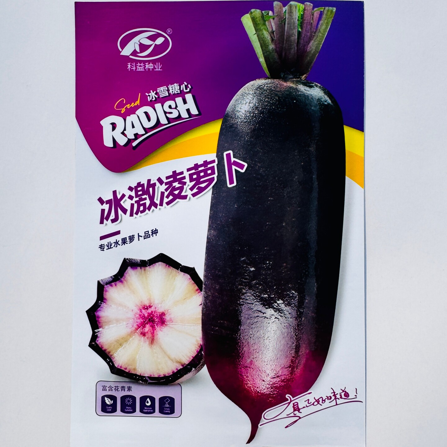 冰激凌水果萝卜种子甜脆多汁紫皮冰糖心萝卜种籽农家春秋季播种孑