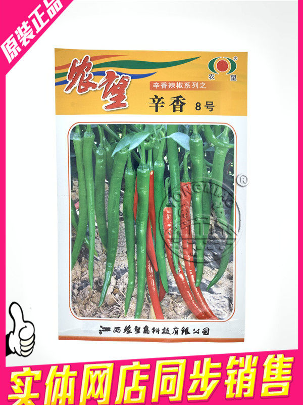 四季辛香8号 线椒 辣椒 高端辣椒种子 江西农望辣椒1000粒包邮