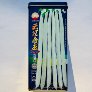 云冠白龙加长型白芸豆种子抗病早熟圆扁型架豆四季豆种籽春秋季播