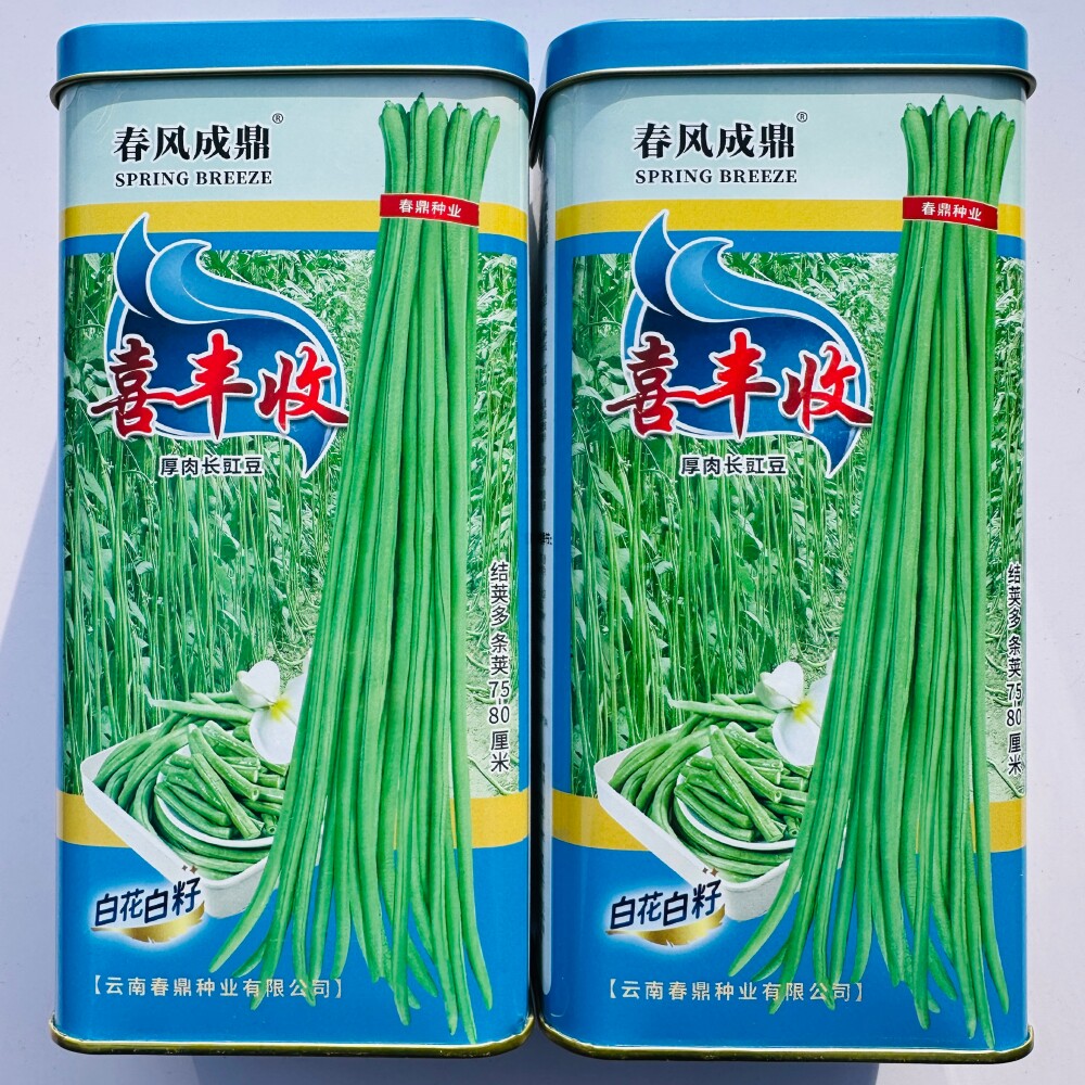 喜丰收厚肉长豇豆种子翠绿荚白籽白花长豆角种籽大田基地春秋季播