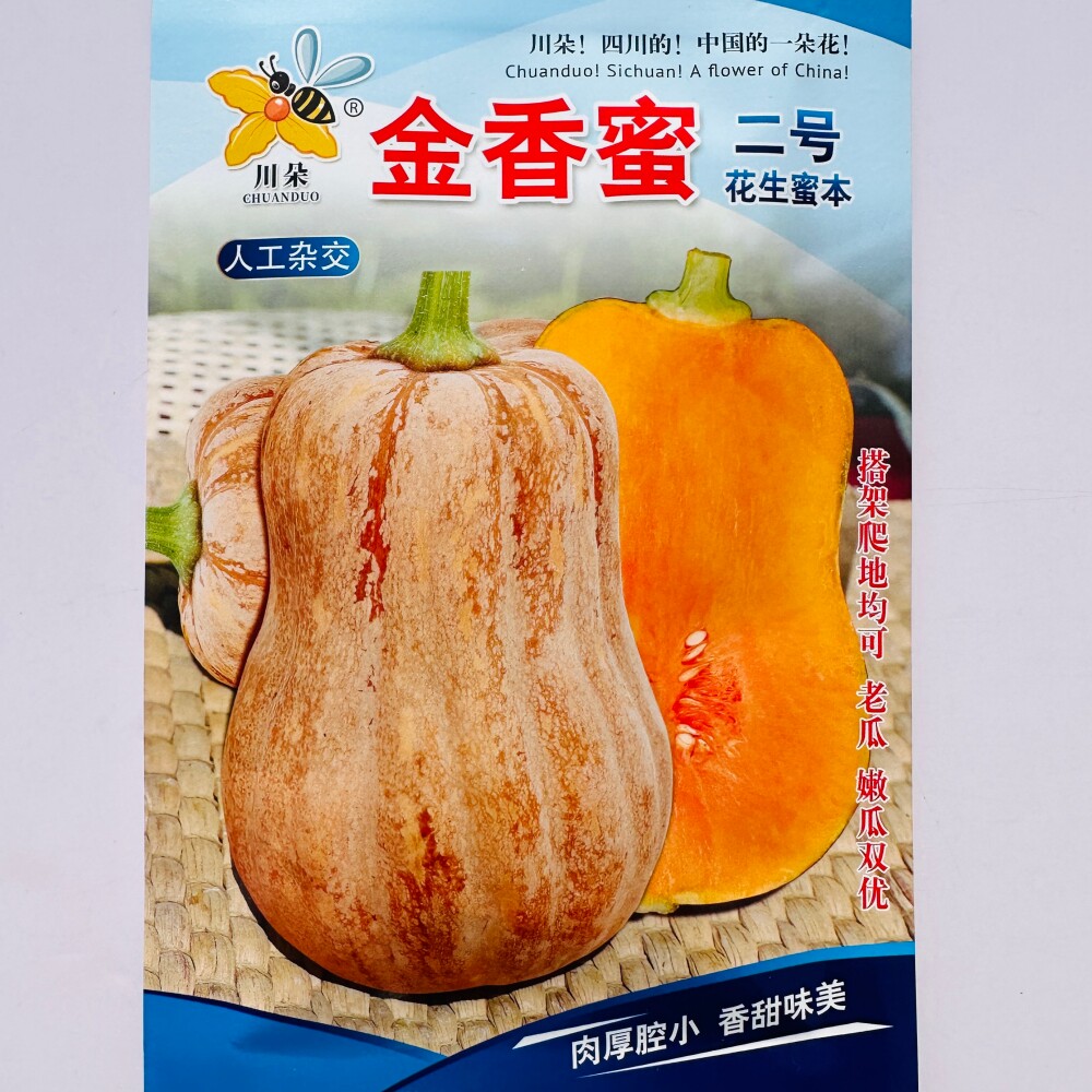 金香蜜二号花生蜜本种子肉厚腔小香甜味美花生南瓜种籽农家春季播