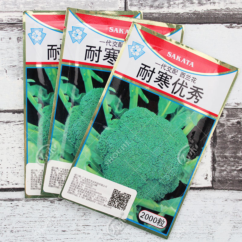 耐寒优秀炎秀西兰花种籽孑西兰花种子四季蔬菜种籽菜种西蓝花