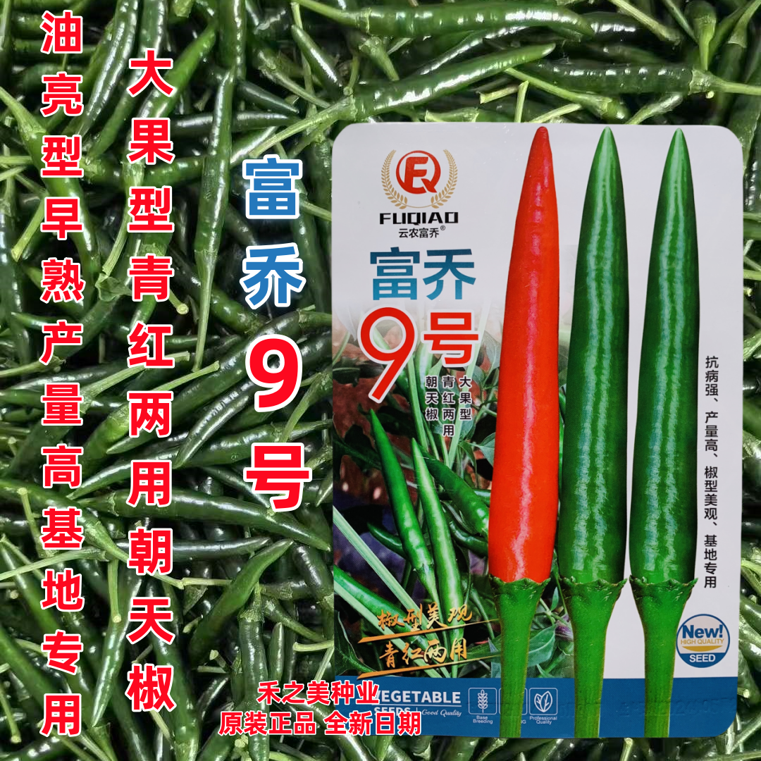富乔9号朝天椒种子泰国引进大果型高产抗病单生朝天椒籽基地春秋
