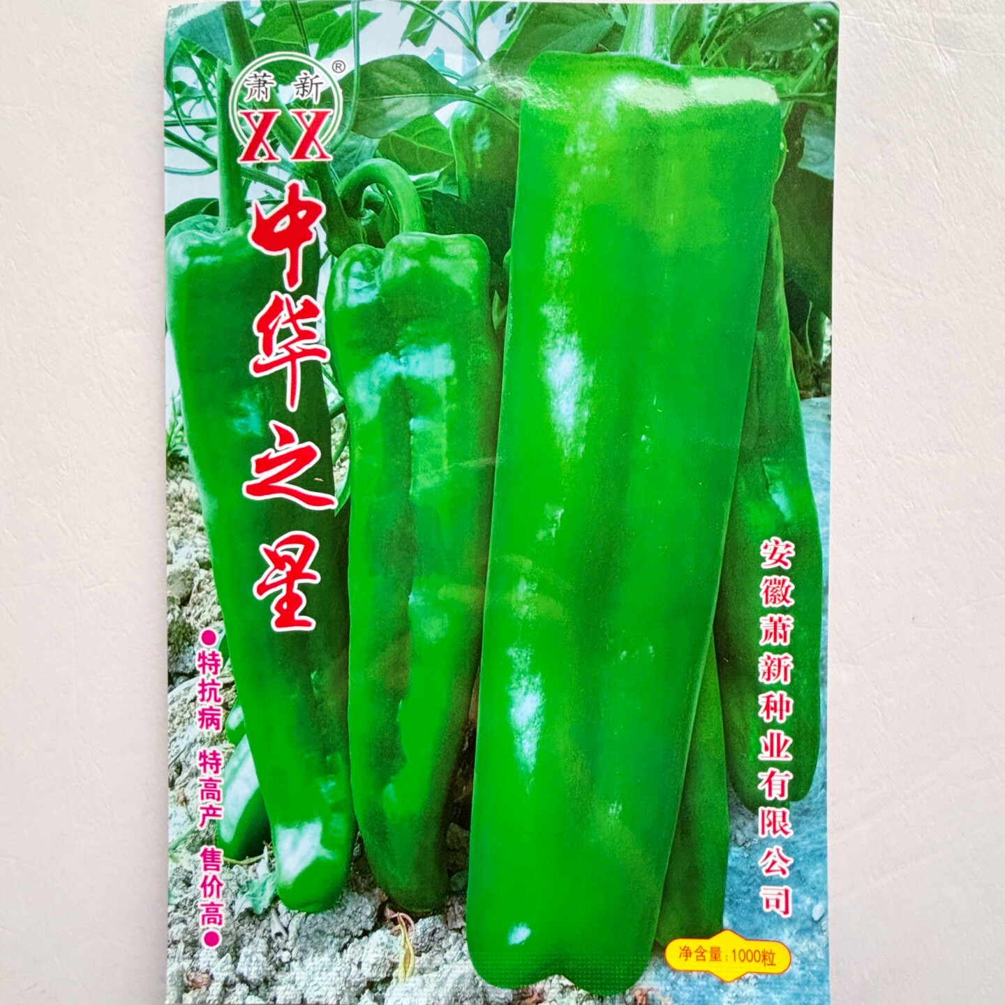 萧新中华之星辣椒种子杂交早熟高产大牛角椒种籽口感好春秋季播种