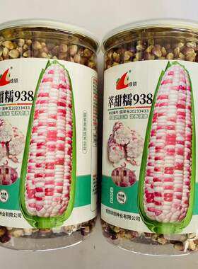 绿领938彩甜糯玉米种籽大棒非转加甜糯彩色玉米种子南北方春秋播