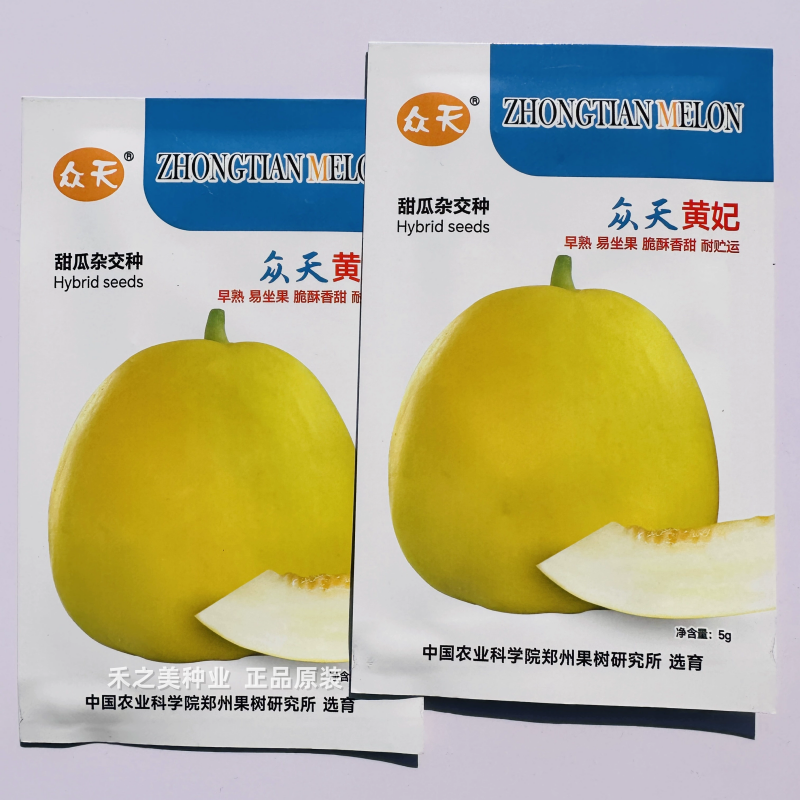 众天香妃香瓜种子黄皮甜瓜种子薄皮早熟糖度高果肉乳白色香瓜种子