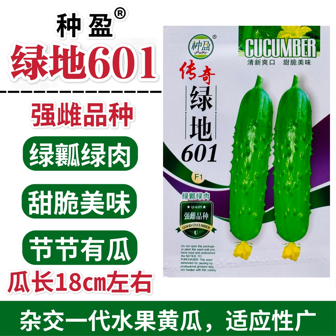 种盈传奇绿地601强雌黄瓜种子翠绿皮节节有瓜甜脆美味黄瓜种籽孑