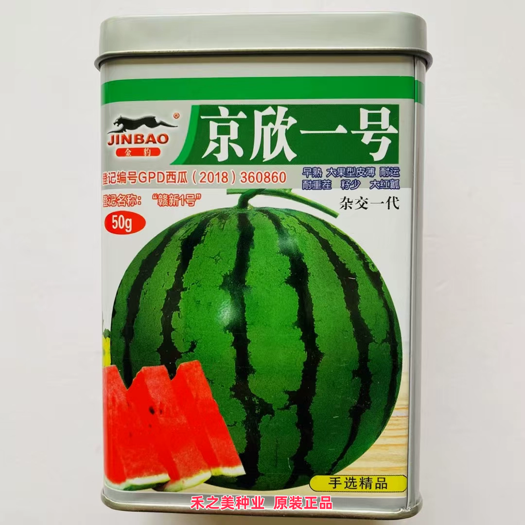 赣新京欣一号二号西瓜种籽孑西瓜种子籽少皮薄早熟耐高温杂交一代