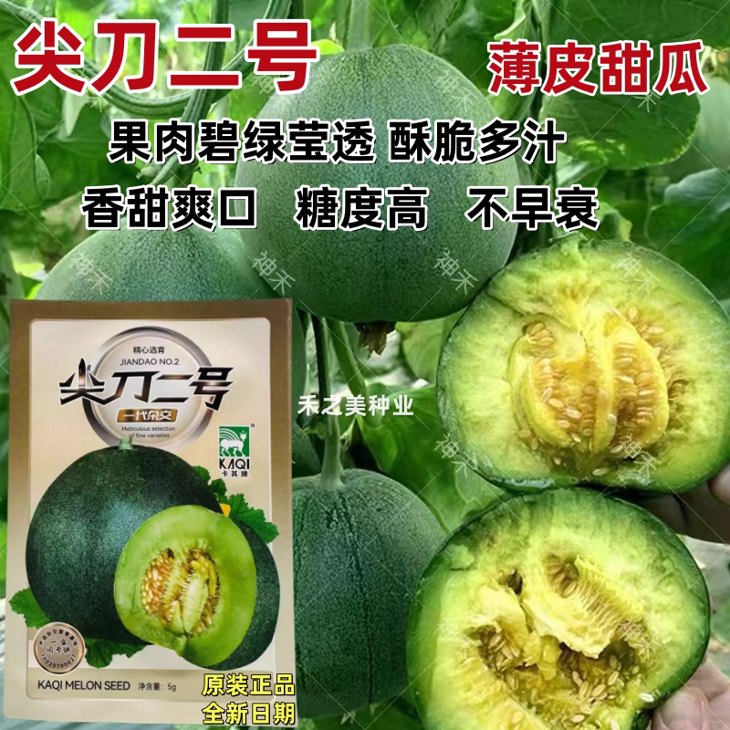 尖刀二号薄皮甜瓜种子绿皮绿肉甜瓜种子香甜酥脆香瓜种子糖度高