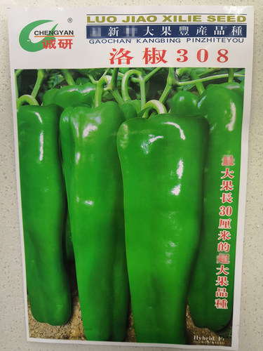 春秋洛椒308 306 301超越98A 洛椒薄皮55号  早熟 春秋辣椒种子