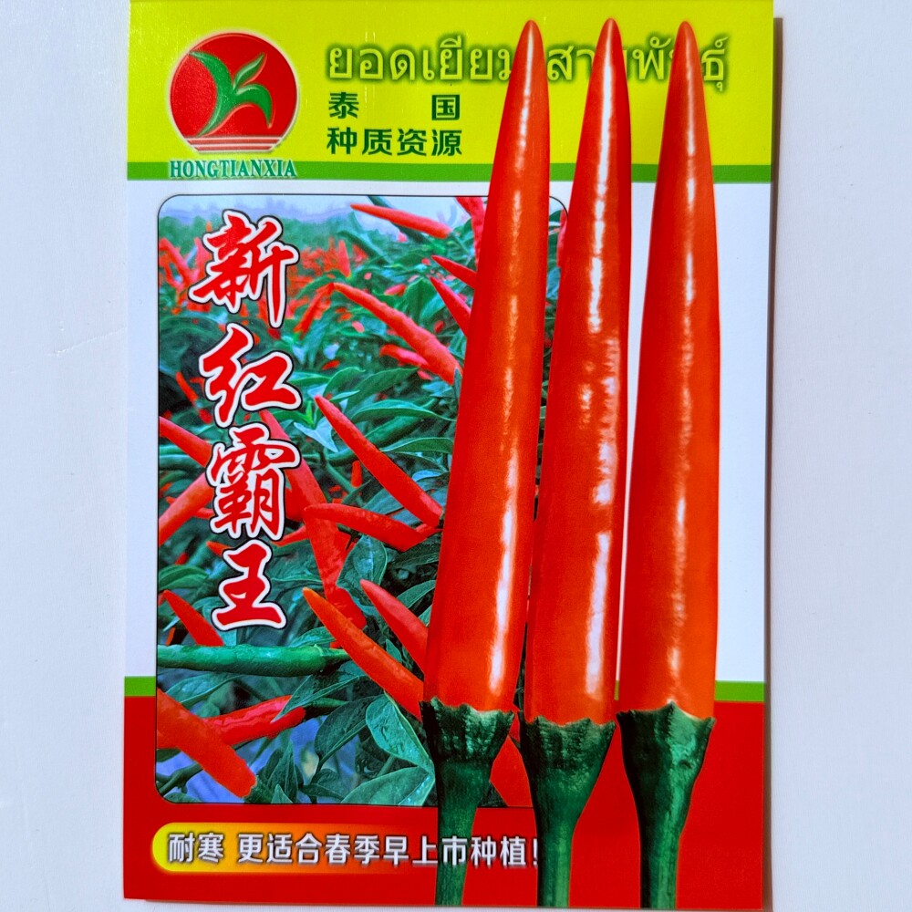 农好新红霸王朝天椒种子抗病早熟耐低温青红两用辣椒种籽春秋季播