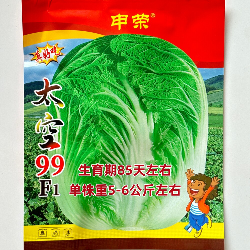申荣太空99真好吃大白菜种子帮薄口感好高产高抗三大病害耐贮秋播