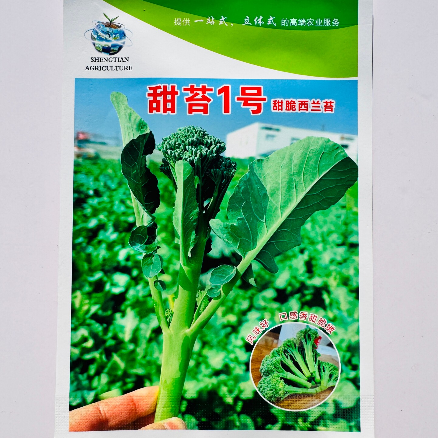 甜苔1号甜脆西兰苔种子香甜脆嫩分枝多杂交西兰苔种籽农家秋季播