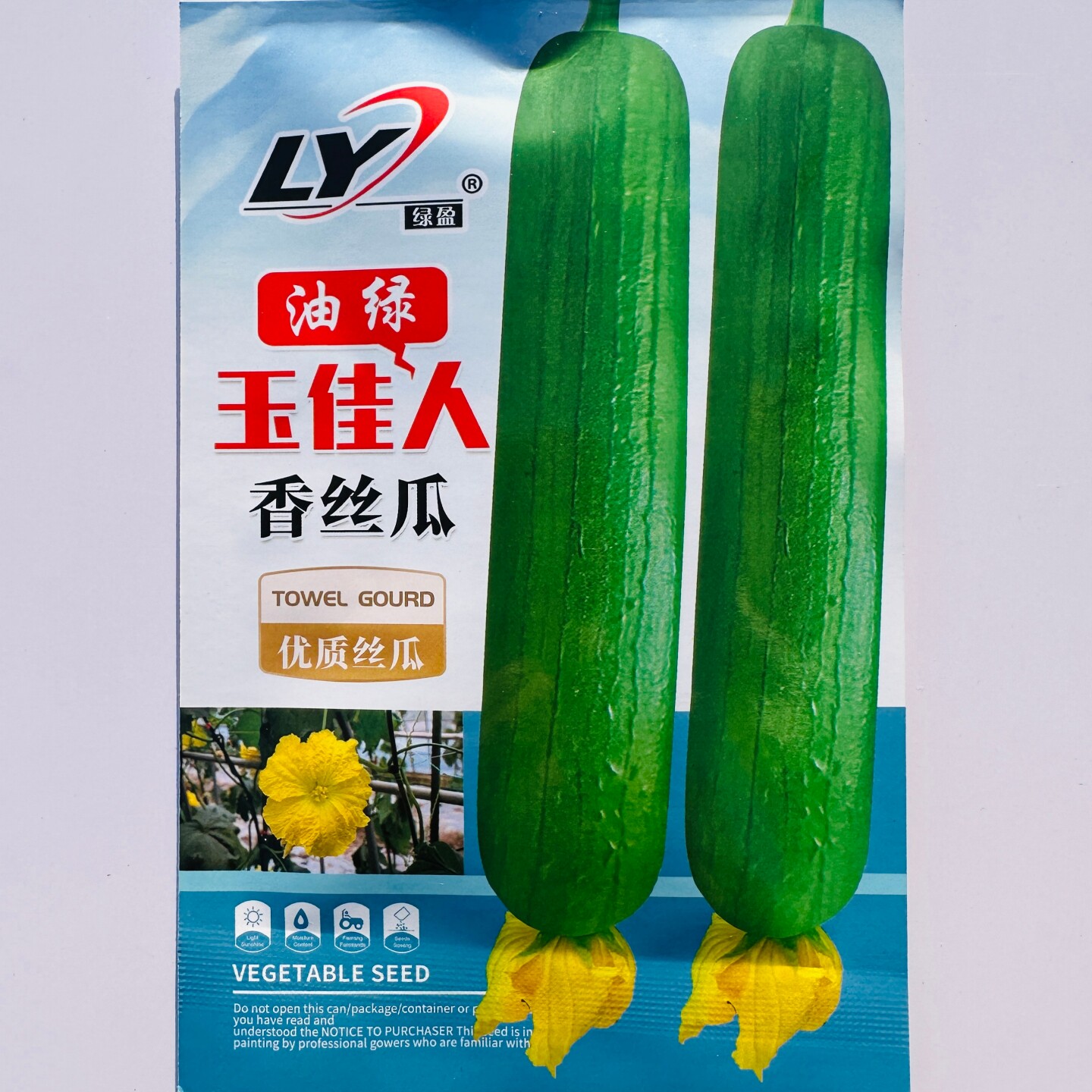 寿光油绿香丝瓜种子绿盈玉佳人油皮丝瓜种子短棒油亮味甜春秋季播