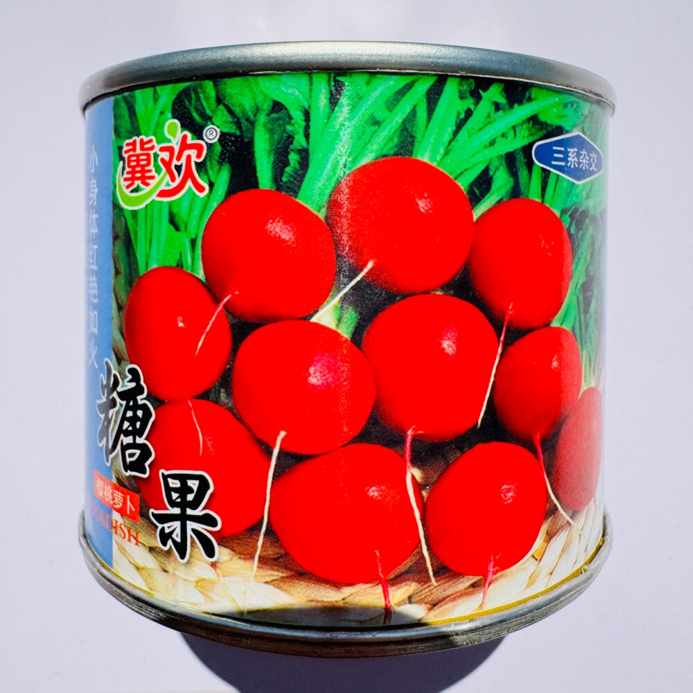 糖果樱桃萝卜种子三系杂交早熟红皮白肉味甜质脆抗病强小萝卜种籽