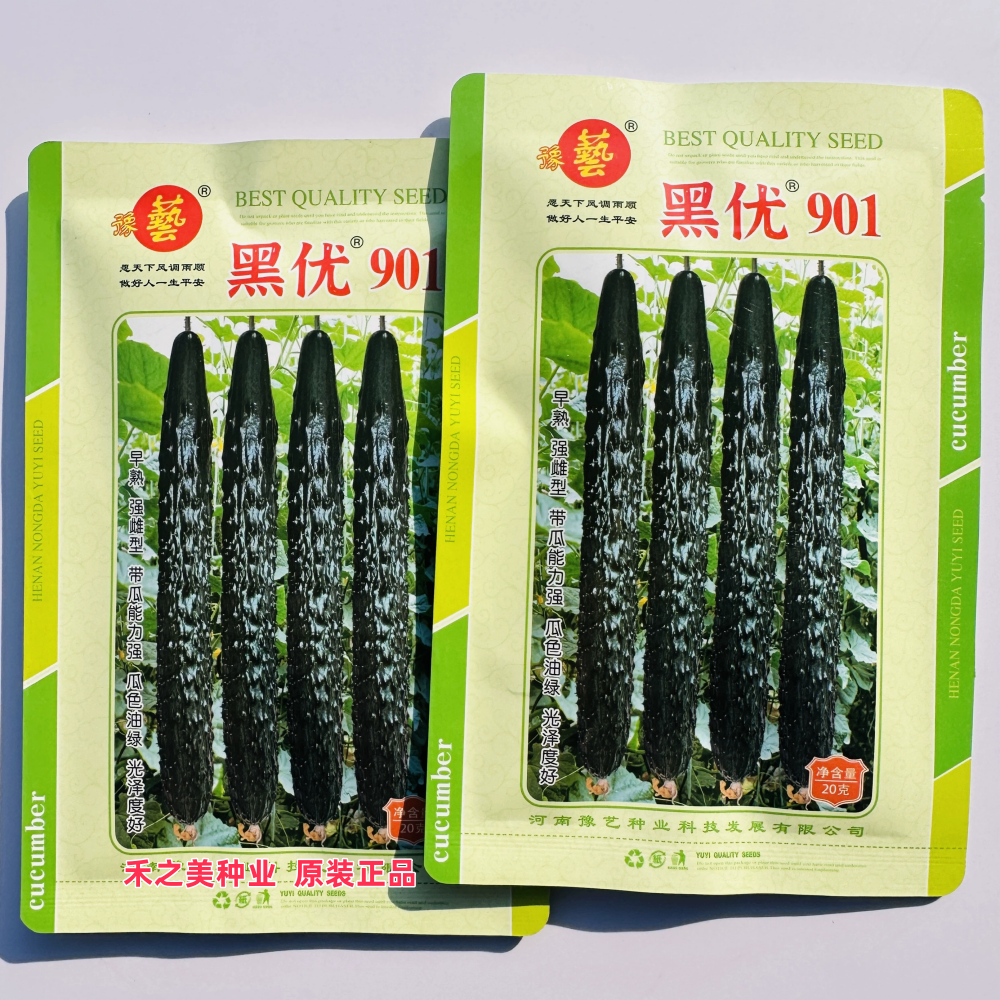 河南豫艺黑优901黄瓜种籽春秋大棚早熟油绿绿瓤口感脆甜黄瓜种子