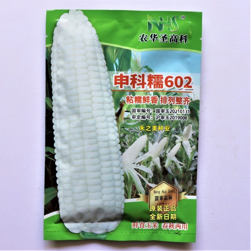 申科糯602白玉米种子甜糯玉米种籽大全四季高产耐旱水果玉米种孑