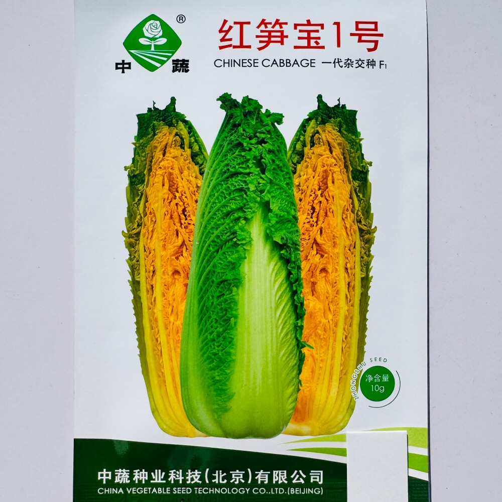 红笋宝1号大白菜种子种籽青麻叶四季秋冬季蔬菜籽绍菜大白菜种孑